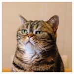 Nástenný poznámkový kalendár 2026 Úsmev, prosím