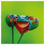 Nástenný poznámkový kalendár 2026 Úsmev, prosím