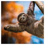 Nástenný poznámkový kalendár 2026 Úsmev, prosím