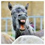 Nástenný poznámkový kalendár 2026 Úsmev, prosím