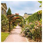 Nástenný poznámkový kalendár 2026 Záhrady