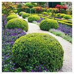 Nástenný poznámkový kalendár 2026 Záhrady