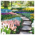 Nástenný poznámkový kalendár 2026 Záhrady