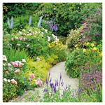 Nástenný poznámkový kalendár 2026 Záhrady