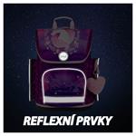 Školská aktovka Ergo Kôn