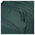 Školský batoh batoh Dash Max zelená