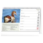 Stolový kalendár 2026 České vtáctvo