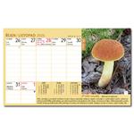 Stolový kalendár 2026 - Hubársky