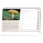 Stolový kalendár 2026 Huby