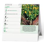 Stolový kalendár 2026 IDEÁL - Liečivé rastliny