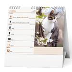 Stolový kalendár 2026 IDEÁL - Mačky /s mačacím menom/