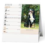 Stolový kalendár 2026 IDEÁL - Pes - verný priateľ /s psími menami/