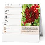 Stolový kalendár 2026 IDEÁL - Záhradkársky kalendár