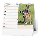 Stolový kalendár 2026 IDEÁL - Zvieratká celého sveta