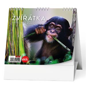 Stolový kalendár 2026 IDEÁL - Zvieratká celého sveta