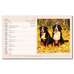 Stolový kalendár 2026 - Kamarádi/Kamaráti