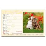 Stolový kalendár 2026 - Kočky-Mačky