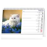 Stolový kalendár 2026 Mačky - Mačky CZ/SK