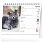 Stolový kalendár 2026 Mačky - s menami mačiek