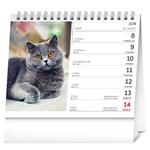 Stolový kalendár 2026 Mačky - s menami mačiek