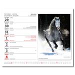 Stolový kalendár 2026 - MiniMax Kone