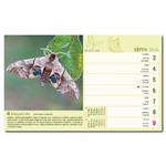 Stolový kalendár 2026 - Potulky prírodou