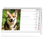 Stolový kalendár 2026 Psy - Psy CZ/SK