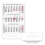 Trojmesačný kalendár Trio český 2026 - sivý